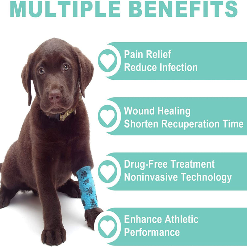 Premium Cold Laser Therapy Device for Pain Relief | 4x808nm & 16x650nm Infrared Light Therapy | Handheld Massager for 