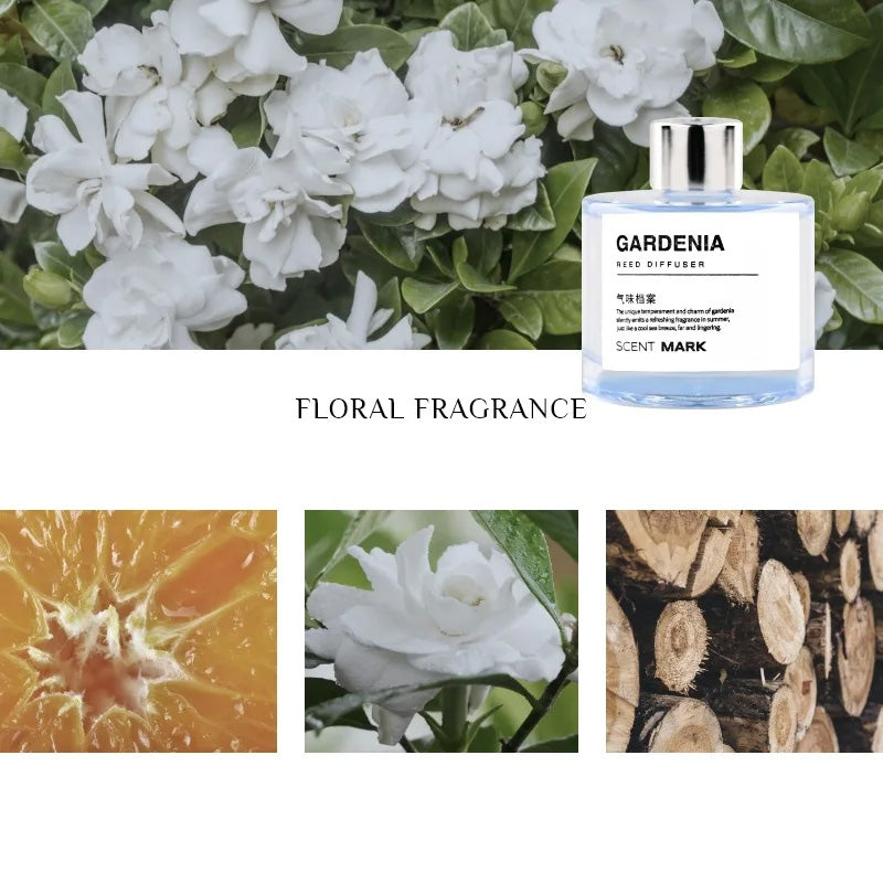 Luxury 50ML Reed Diffuser Set with Essential Oils – Lavender, Rose, Jasmine Fragrances, Aromatherapy Air Freshener for Hotel and Home, Long-Lasting Scent, Elegant Glass Bottle - StrengthXPhysiotherapy